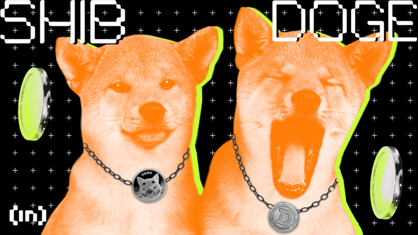 Dogecoin (DOGE) vs Shiba Inu (SHIB): Wat Is het Verschil?