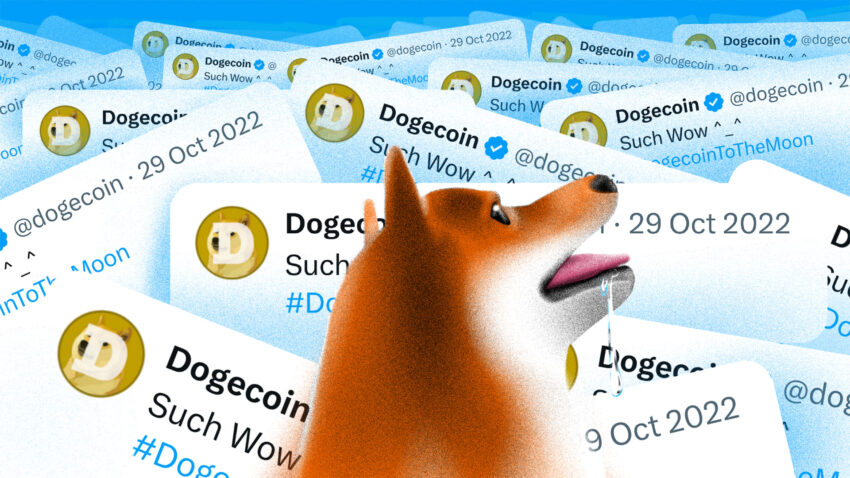 DogeChain staakt zijn activiteiten: Trek Dogecoin (DOGE) Nu in